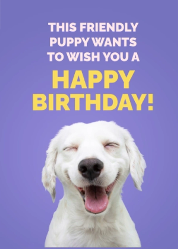 Puppy Birthday