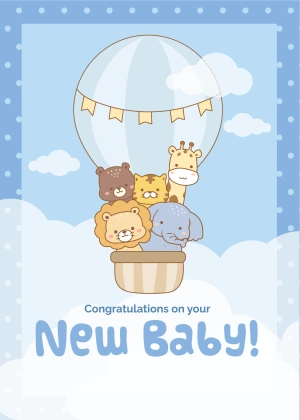 New Baby Hot Air Balloon